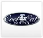 Cool Cat Casino