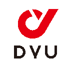 DYU EBIKE