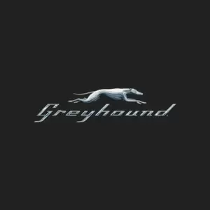 Greyhound