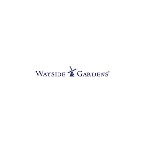 Wayside Gardens